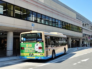 ミスタールーフ place picture