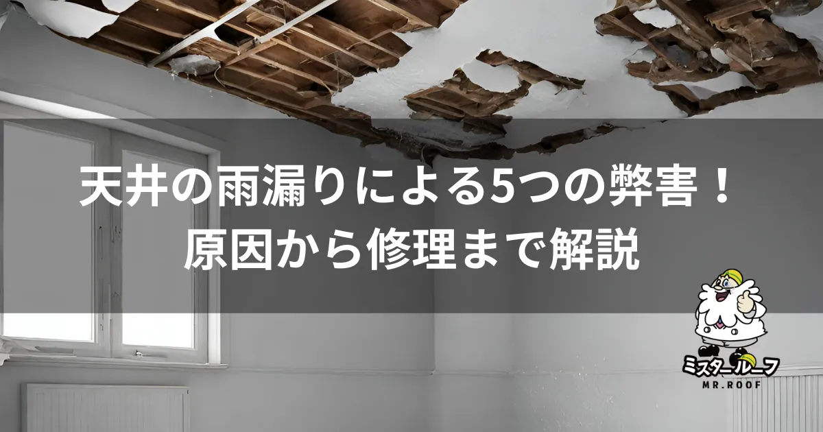 天井の雨漏りによる5つの弊害！原因から修理まで解説